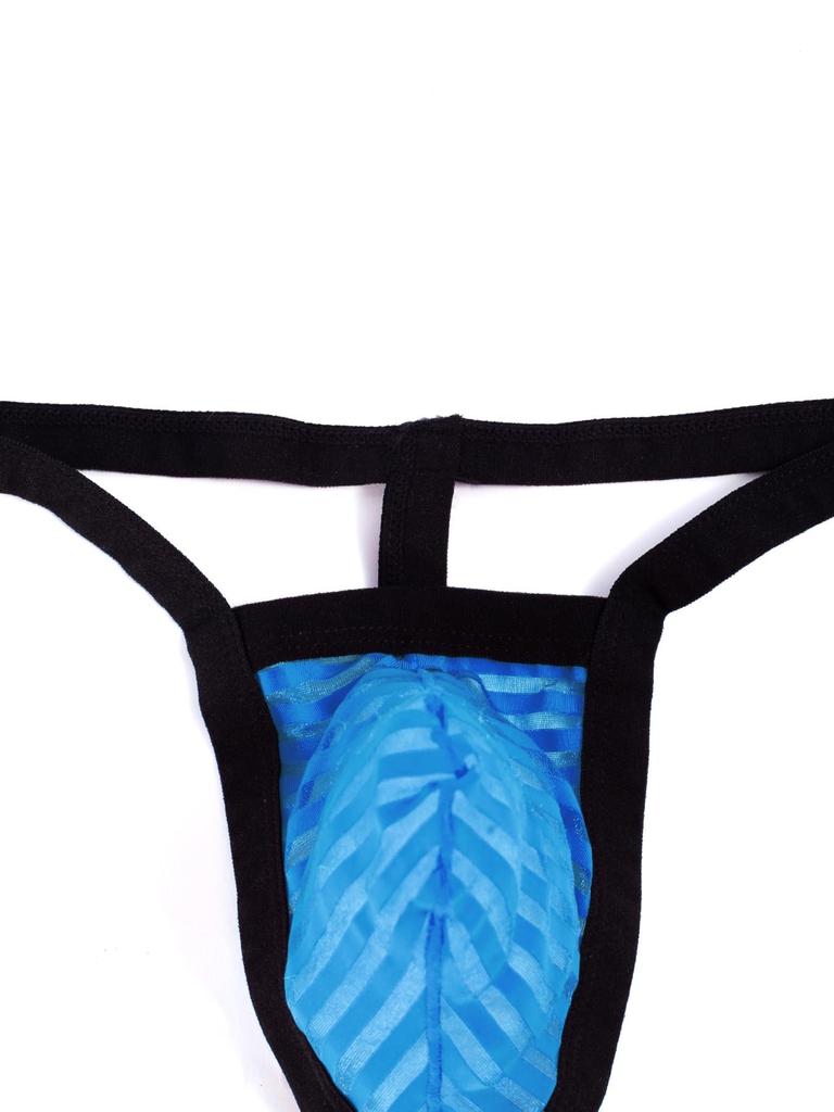 Sexy [Rmkgiweer] Men's T-Back See-Through Underwear, Low-Rise