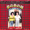 7inch Record JAMIE WILDE - You're My Baby / Without Love DPQ6068 POLYDOR 1977 Japan Pop Used