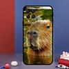 Capybara  lovely animal For Samsung Galaxy M33 M13 M23 M53 M15 M55 M31 M51 M14 M34 M54 M20 M30s M32 M52 Phone Case