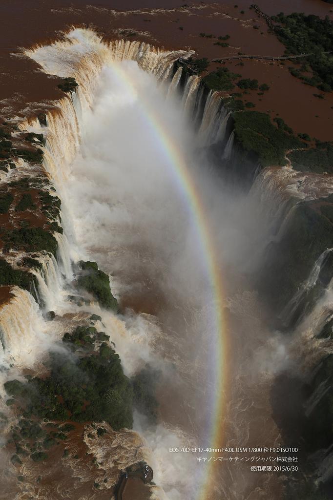 Canon EOS Kiss X7i Digital SLR Camera with IS STM Lens Kit EF-S 18-135mm f/3.5-5.6 (KISSX7I-18135ISSTMLK)