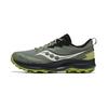 Peregrine 14 GORE-TEX Bough Olive Men Sneakers Grey S20918-110