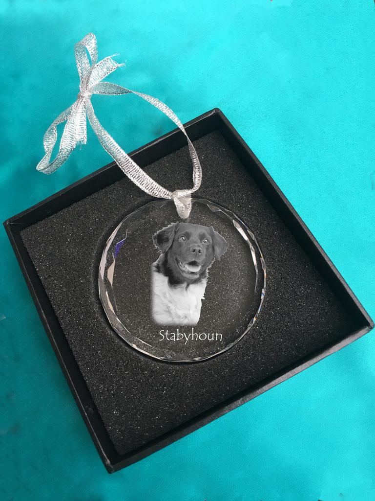 Stabyhoun, Stabijhoun, Fryske Stabij - crystal bauble with a photo, dog photo in crystal, personalized Christmas tree ornament by Art-Dog brand