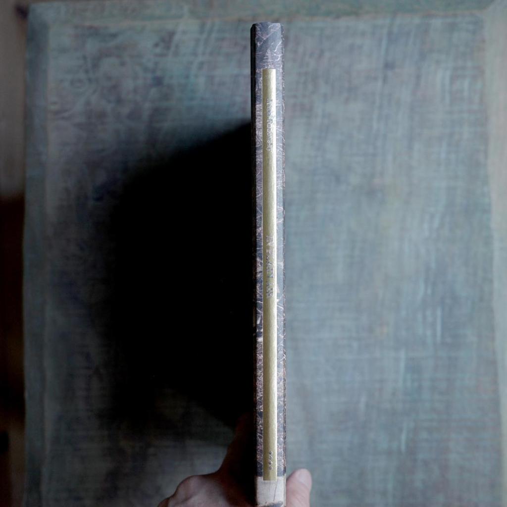 [Б/У] НА ПЛЕНЭРЕ Ирина Розовская Книга по искусству