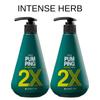 Perioe 2X Intense Pumping Toothpaste 285g *2 (2 Pack - Spearmint, Herb)