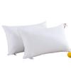 Premium Hotel-Style Cotton Cover Fiber Pillow Neck Support 48x74cm 1.1-2lb Adult Single Use