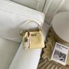 IELGY Ladies Messenger Bag Fashionable All-Match Summer Portable Bucket Bag