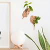 1PC Wall Planters Home Decor Wooden Bohemian Plant Hangers Wall-Mounted Plastic Tube Leaf Shape Hanging Shelf