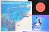 LP Record TUBE - Season In The Sun 28AH2050 CBS SONY 1986 Japan Obi Japanese Pop/Rock Used