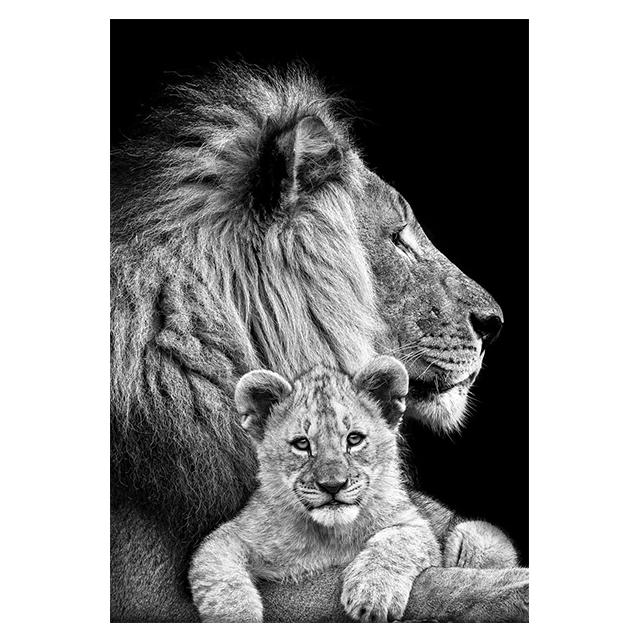 Animals Black And White Lions Love Family Prints Poster Canvas Painting Modern Wall Art Pictures Living Room Bedroom Home Decor