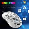 MAMBASNAKE 383 Wired Mouse with Lightweight Honeycomb 4 RGB 2400 DPI Compatible with Windows USB Optical Computer Mouse with Japanese Instruction