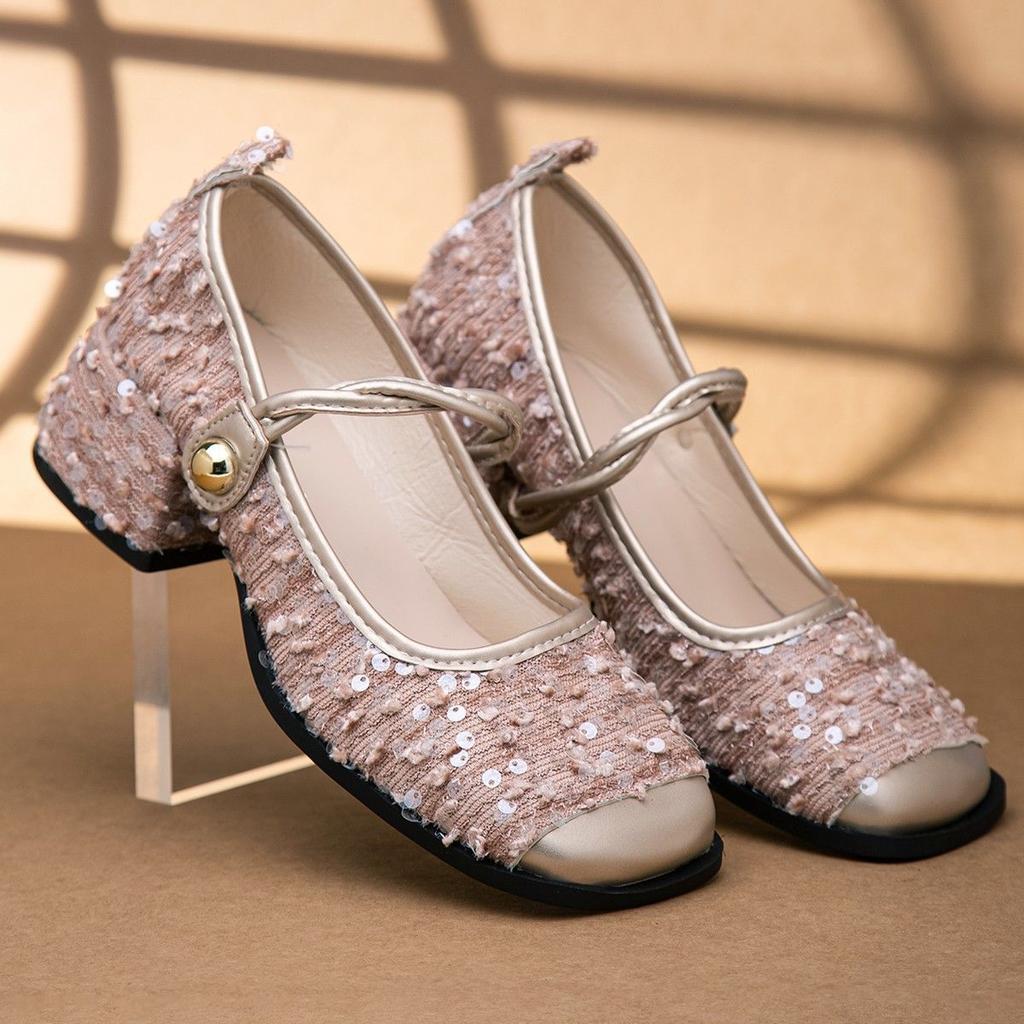 With Skirt Thick Heel Evening Shoes Shallow Mouth Single Shoes 2025 Spring and Summer New French Small Fragrant Mary Jane Shoes Women's Shoes