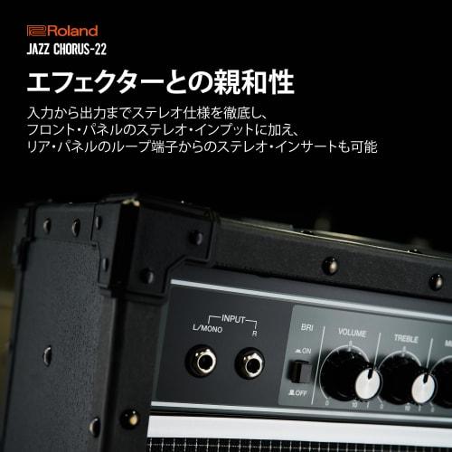 Roland/JC-22 Roland Guitar Amplifier with Jazz Chorus, 30W