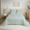 Complete Reversible Duvet Cover Pack for 160 X 200 Cm Bed Agathe Celadon