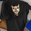 Cat With Oversized Head Meme T-Shirt Breathable Cool, Comfortable Wear,Daily Casua