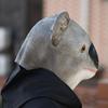 Koala headgear funny animal mask
