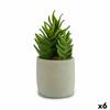 Decorative Plant Succulent Plastic 12 X 24 X 12 Cm (6 Units)