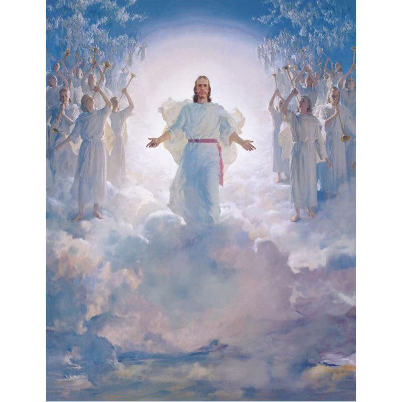 5D DIY алмазная живопись корова вышивка крестиком полная квадратная/круглая дрель Алмазная вышивка животные горный хрусталь фотографии ремесла подарок