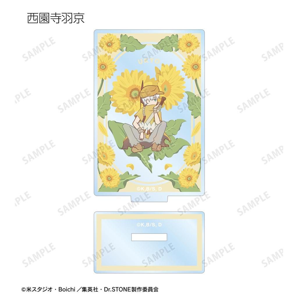 ТВ аниме "Доктор". Камень" Торговый Боттания Акриловые Подставки Коробка из 9