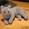 30см Симуляция Милый Кот Трехцветный Плюшевая Игрушка Кукла Детский Подарок на День Рождения Мальчик Девочка Кровать Диван Подушка для Сна Веселое Украшение