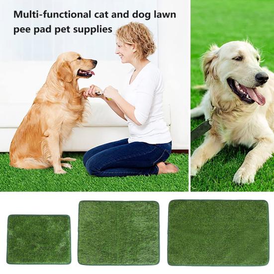 Pet Pee Mat Odor-Free Absorbent Fine Workmanship Wear-resistant Dog Training Pad for Clean Comfortable Home