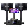 Домашняя KTV система SANSUI SQ12, китайская вилка (адаптер в комплекте) (Китайская версия)