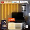 Tuya Zigbee Светодиодная неоновая лента 24 В 6 в 1 1 м 2 м Диммируемая лента Для под шкаф Акустическая деревянная панель Декор стены за телевизором