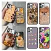 Cute Pomeranian Dog Phone Case For iPhone 17 Air 13 12 14 15 16  Cover For Apple 14 15 16 Pro Max Plus Coque