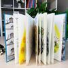 Международные шедевры Детские книжки с картинками