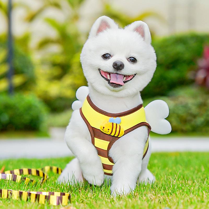 Маленькая пчелка Собачья шлейка для груди и спины Милый мультяшный жилет для питомца Шлейка для груди и спины Поводок для выгула собаки на улице