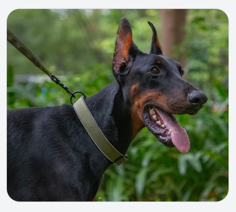 Светоотражающий тактический ошейник для собак средних и крупных пород: Колли, Золотистый ретривер, Лабрадор