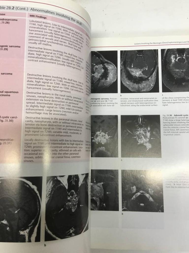 [USED] Hospital disposal book: Differential Diagnosis, large-format medical book