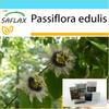 Gift Set - Purple Granadilla - 40 Seeds - With Gift Box, Card, Label and Potting Substrate - Passiflora Edulis