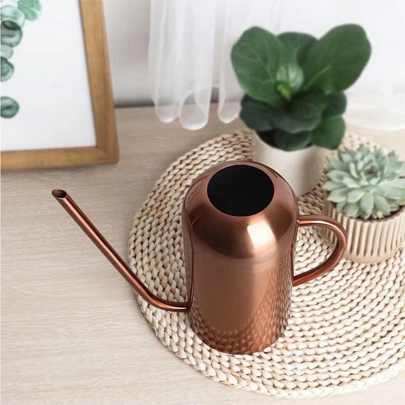 Black Stainless Steel Retro Watering Can with Long Spout - Large Capacity for Gardening and Succulents