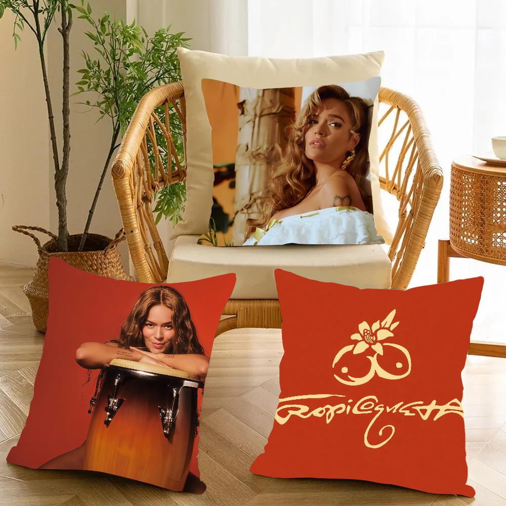 Singer K-Karol G Funny Pillow Case Applicable Space For Guest Rooms Interiors Cars Office House Decoration