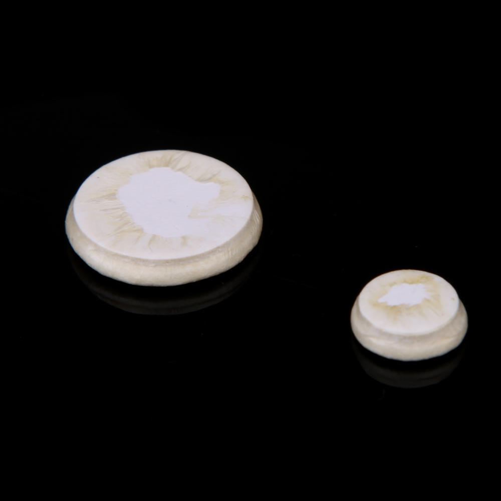 17 шт. Подушечки для кларнета Замена Изысканный духовой инструмент