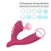 Sucking Vibration 2-in-1 Vibrator 10-speed Oral Sex 10-speed Vibration Clitoris Stimulation Vaginal Massage Female Sex Toy