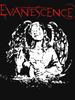 Музыка Evanescence - Базовая футболка Evanescence