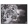 Printed and Framed Canvas "Leopard" 58 X 78 Cm Atmosphera