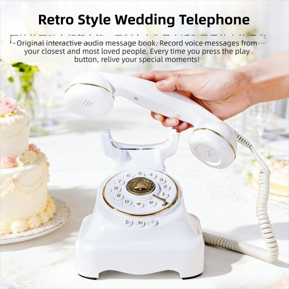 Keep Memories Alive Audio Guest Book Voicemail Phone Memorable Party Occasions