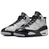 Air Jordan Dub Zero 'White Thunder' 311046-110