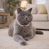 Cute Double Layer Pet Pearl Necklace Vintage Adjustable Cat Neck Chain Glamorous Crystal Cat Pearl Collar Pet Show