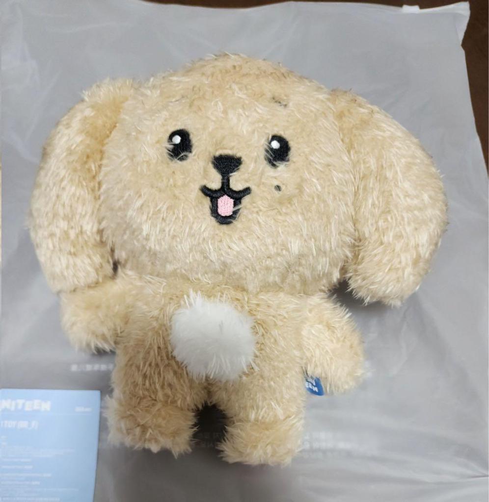 [USED] SEVENTEEN DK MINITEEN Pop-up Plush Toy