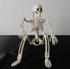 Skeleton Figure Object Drawing 40cm Model Interior Halloween