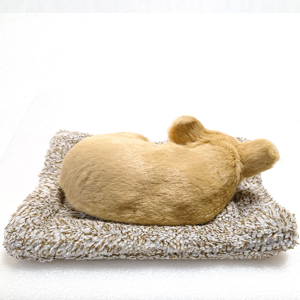 TATOTTE Реалистичная плюшевая фигурка собаки с милым спящим лицом, в комплекте активированный уголь, успокаивающий декор (Чихуахуа CR)