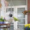 Smart Birds Hanging Feeder Acrylic with Camera Bird House Pet Feeder Transparent 1080P HD Easy Installation for Outdoor Garden