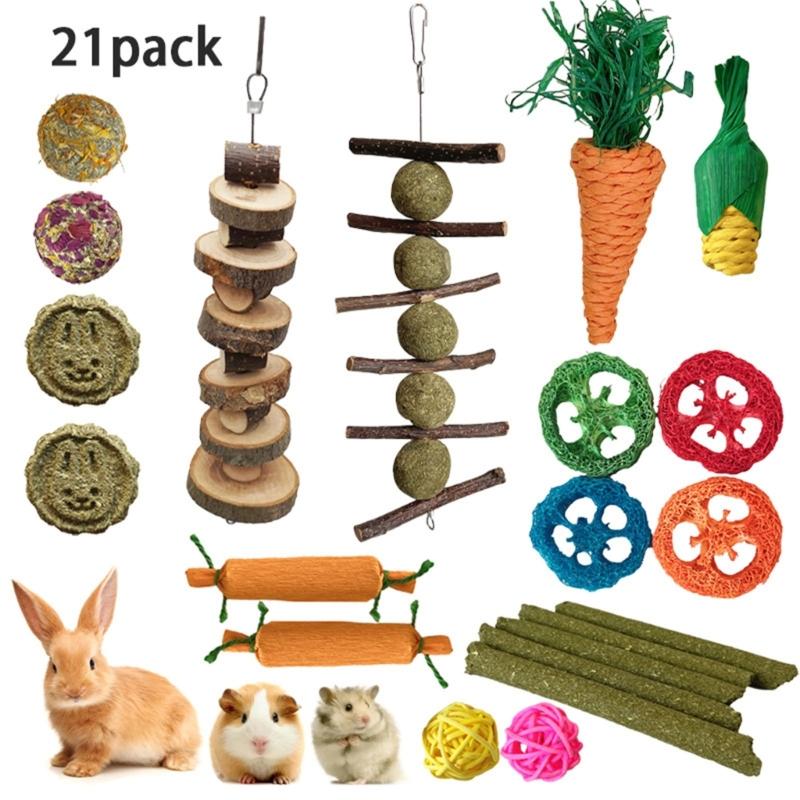 21PCS Hamster Bird Rabbit Chew Toy Wood Toy to Keep Small Rodents Healthy Enhances Dental Healthy and Provide Enjoyments