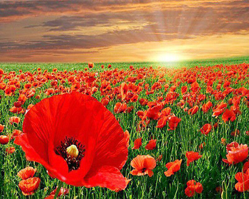 Алмазная вышивка Снежный дом Ремесленный комплект Полный дрель Площадь Новое поступление Алмазная картина Маяк Пляж Цветочный пейзаж Мозаика Украшение дома