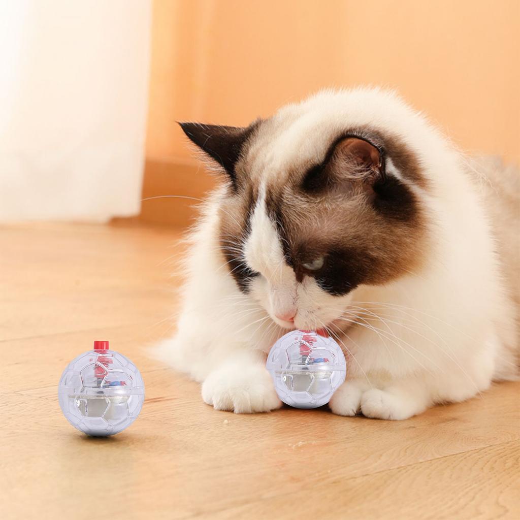 Светящийся мячик-дразнилка для питомцев, интерактивное развлечение, игрушка для кошек, саморазвлекательный набор-дразнилка для умных кошек, пластиковый футбольный мяч