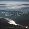 Wade In the Water by Tracy K. Smith Paperback Book 9780141987842