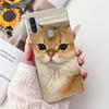 Чехол для телефона Samsung Galaxy A11 M11 Samsung A11 M11 A115F M115F Элегантный Цветочный Кот Раскрашенный Мягкий Силикон Прозрачный ТПУ Чехлы